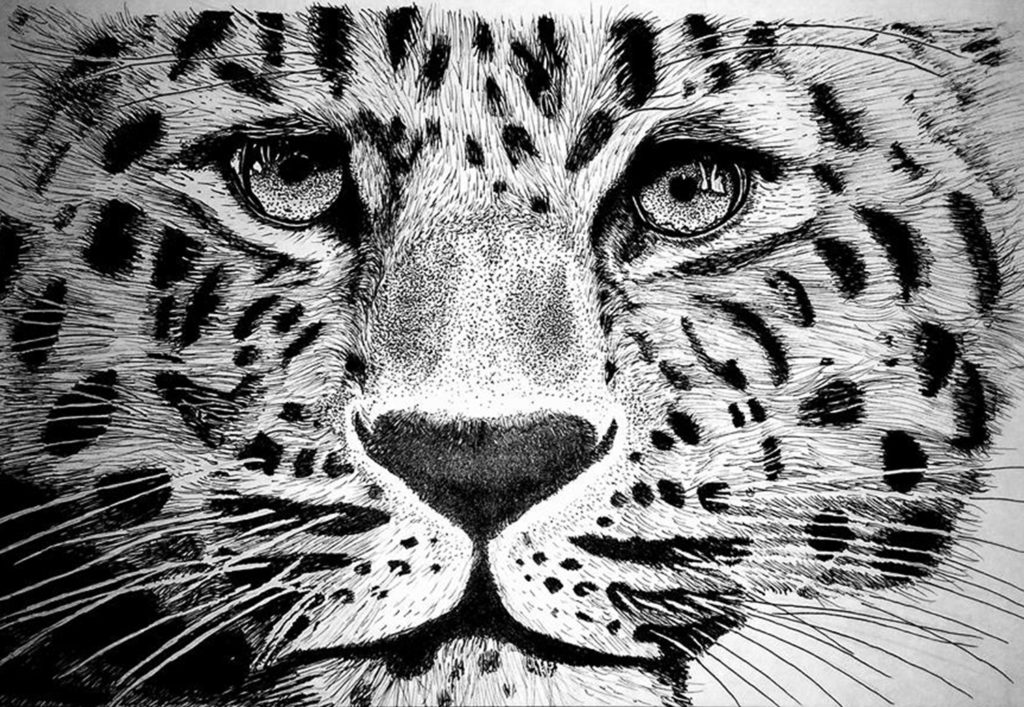 Leopart, Amour, toiles, oiseaux, dessin, aquarelle, Logo lusart, audiovisuel, vidéo, photo, montage, illustration, lucile servais, motion design, digital painting, compositing, vfx, production, court métrage, vimeo, dessin, toiles, art, artiste