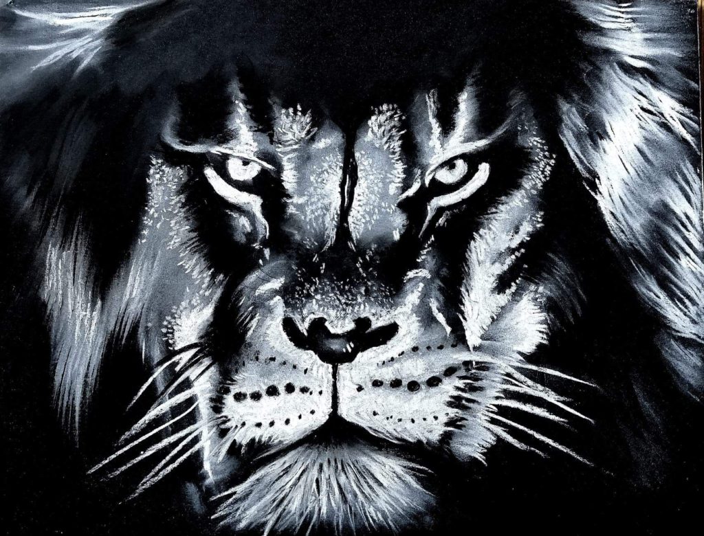 Lion, amour, toiles, oiseaux, dessin, aquarelle, Logo lusart, audiovisuel, vidéo, photo, montage, illustration, lucile servais, motion design, digital painting, compositing, vfx, production, court métrage, vimeo, dessin, toiles, art, artiste